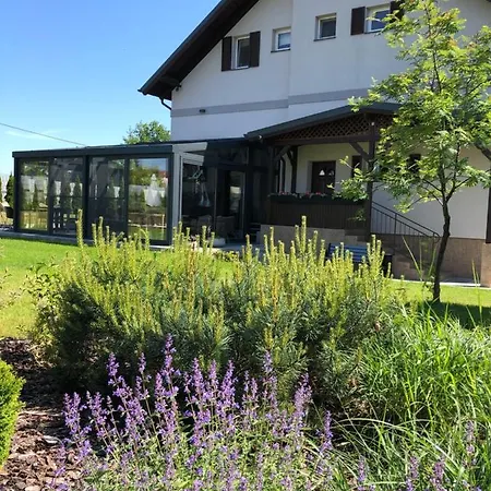 Magnolia - I Sprzet Do Polawiania Bursztynu -wodery, Podbieraki, Latarki Uv - Zabaw- Rowery - Kawa Z Ekspresu