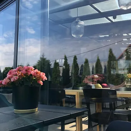 Magnolia - I Sprzet Do Polawiania Bursztynu -wodery, Podbieraki, Latarki Uv - Zabaw- Rowery - Kawa Z Ekspresu * ヤンタル