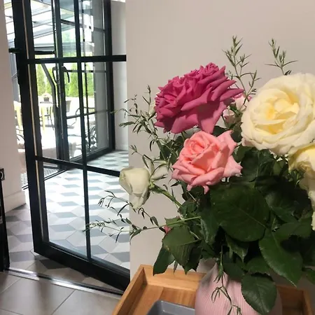 Magnolia - I Sprzet Do Polawiania Bursztynu -wodery, Podbieraki, Latarki Uv - Zabaw- Rowery - Kawa Z Ekspresu Çiftlik konaklama Jantar