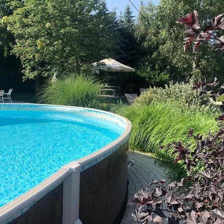 Magnolia - I Sprzet Do Polawiania Bursztynu -wodery, Podbieraki, Latarki Uv - Zabaw- Rowery - Kawa Z Ekspresu ヤンタル