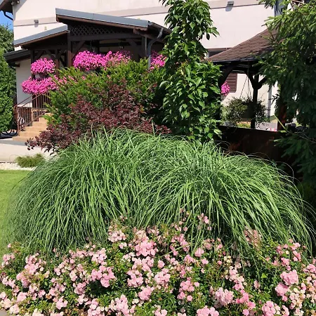 Magnolia - I Sprzet Do Polawiania Bursztynu -wodery, Podbieraki, Latarki Uv - Zabaw- Rowery - Kawa Z Ekspresu