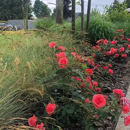 ファームステイ Magnolia - I Sprzet Do Polawiania Bursztynu -wodery, Podbieraki, Latarki Uv - Zabaw- Rowery - Kawa Z Ekspresu