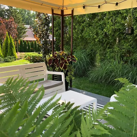 Magnolia - I Sprzet Do Polawiania Bursztynu -wodery, Podbieraki, Latarki Uv - Zabaw- Rowery - Kawa Z Ekspresu * Jantar