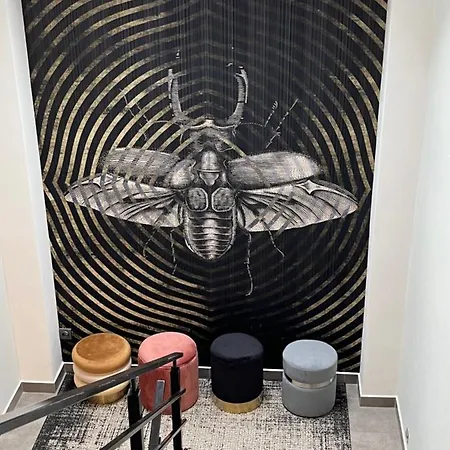 Magnolia - I Sprzet Do Polawiania Bursztynu -wodery, Podbieraki, Latarki Uv - Zabaw- Rowery - Kawa Z Ekspresu