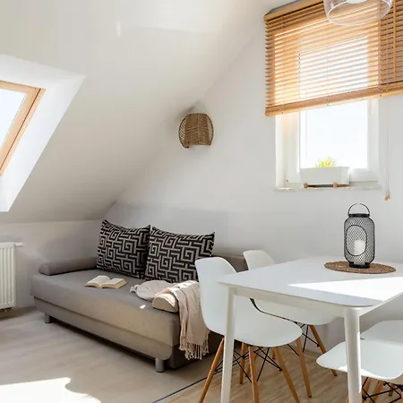 Magnolia - I Sprzet Do Polawiania Bursztynu -wodery, Podbieraki, Latarki Uv - Zabaw- Rowery - Kawa Z Ekspresu Çiftlik konaklama *