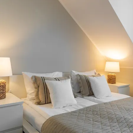 Magnolia - I Sprzet Do Polawiania Bursztynu -wodery, Podbieraki, Latarki Uv - Zabaw- Rowery - Kawa Z Ekspresu ヤンタル