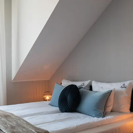 Magnolia - I Sprzet Do Polawiania Bursztynu -wodery, Podbieraki, Latarki Uv - Zabaw- Rowery - Kawa Z Ekspresu * ヤンタル