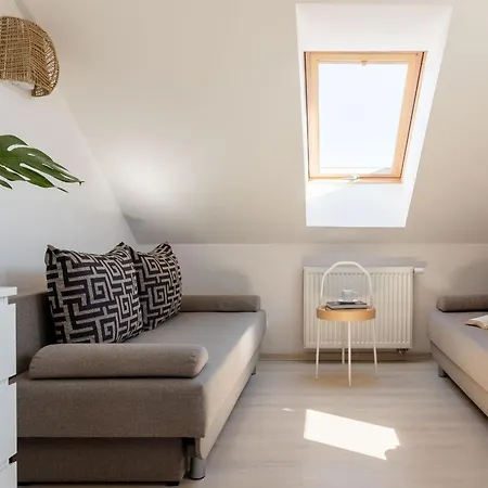 Magnolia - I Sprzet Do Polawiania Bursztynu -wodery, Podbieraki, Latarki Uv - Zabaw- Rowery - Kawa Z Ekspresu * ヤンタル