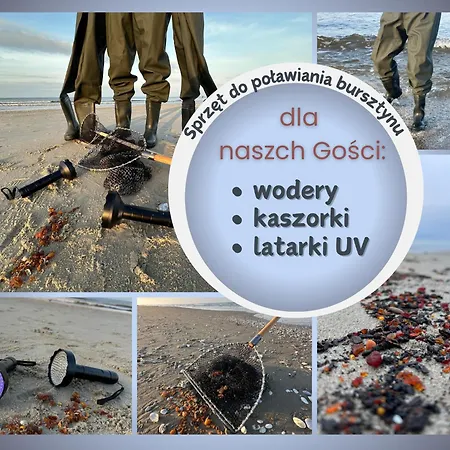 Magnolia - I Sprzet Do Polawiania Bursztynu -wodery, Podbieraki, Latarki Uv - Zabaw- Rowery - Kawa Z Ekspresu Çiftlik konaklama