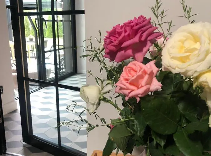 Magnolia - I Sprzet Do Polawiania Bursztynu -wodery, Podbieraki, Latarki Uv - Zabaw- Rowery - Kawa Z Ekspresu Feriegård Jantar