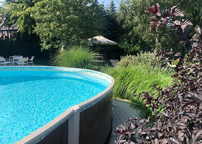 Magnolia - I Sprzet Do Polawiania Bursztynu -wodery, Podbieraki, Latarki Uv - Zabaw- Rowery - Kawa Z Ekspresu Jantar