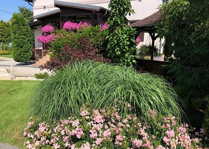 Magnolia - I Sprzet Do Polawiania Bursztynu -wodery, Podbieraki, Latarki Uv - Zabaw- Rowery - Kawa Z Ekspresu