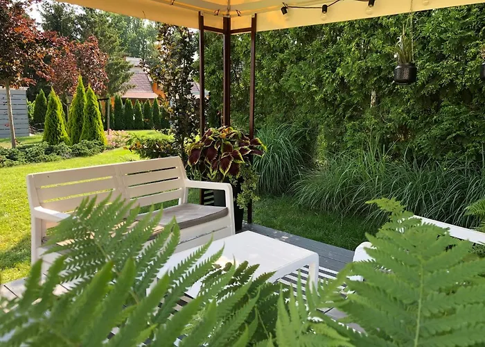 Magnolia - I Sprzet Do Polawiania Bursztynu -wodery, Podbieraki, Latarki Uv - Zabaw- Rowery - Kawa Z Ekspresu * Jantar