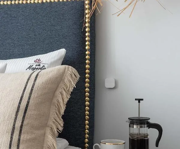 Magnolia - I Sprzet Do Polawiania Bursztynu -wodery, Podbieraki, Latarki Uv - Zabaw- Rowery - Kawa Z Ekspresu Feriegård Jantar