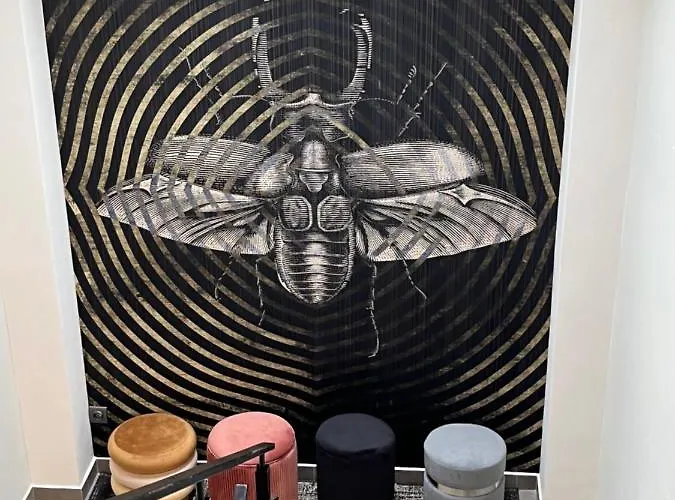 Magnolia - I Sprzet Do Polawiania Bursztynu -wodery, Podbieraki, Latarki Uv - Zabaw- Rowery - Kawa Z Ekspresu