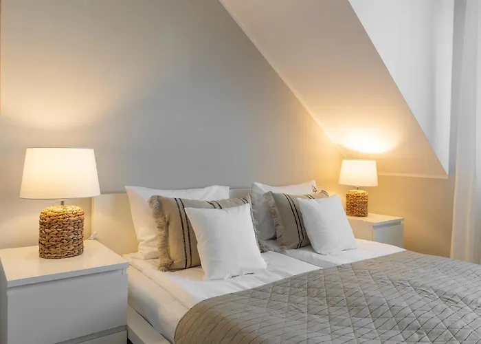 Magnolia - I Sprzet Do Polawiania Bursztynu -wodery, Podbieraki, Latarki Uv - Zabaw- Rowery - Kawa Z Ekspresu Jantar