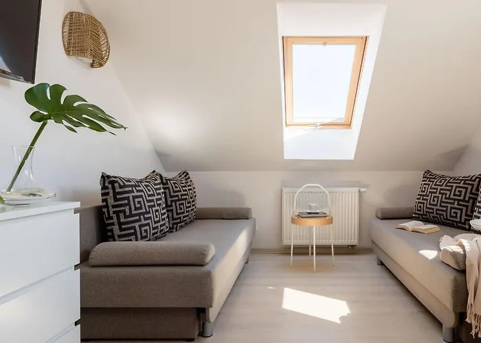 Magnolia - I Sprzet Do Polawiania Bursztynu -wodery, Podbieraki, Latarki Uv - Zabaw- Rowery - Kawa Z Ekspresu * Jantar