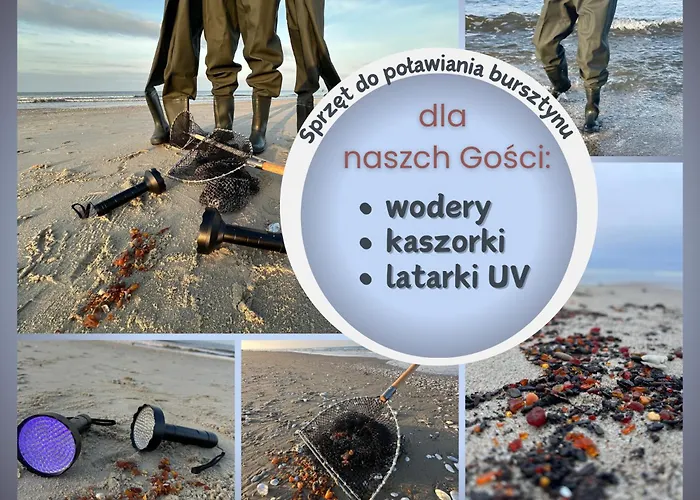 Magnolia - I Sprzet Do Polawiania Bursztynu -wodery, Podbieraki, Latarki Uv - Zabaw- Rowery - Kawa Z Ekspresu Feriegård