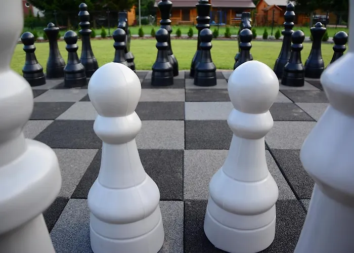 Magnolia - I Sprzet Do Polawiania Bursztynu -wodery, Podbieraki, Latarki Uv - Zabaw- Rowery - Kawa Z Ekspresu