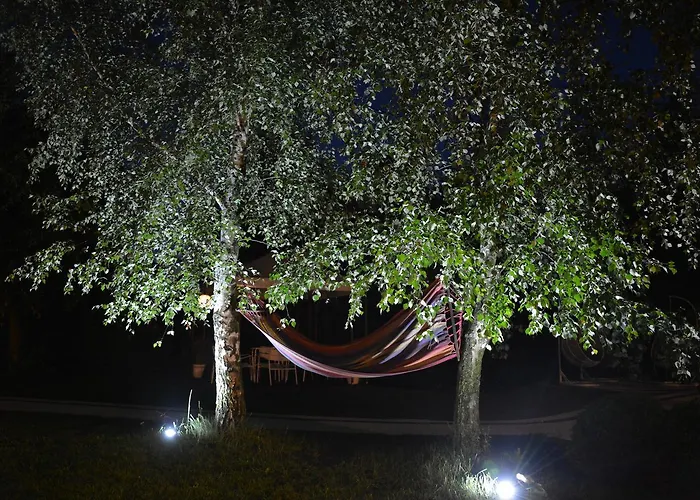 Feriegård Magnolia - I Sprzet Do Polawiania Bursztynu -wodery, Podbieraki, Latarki Uv - Zabaw- Rowery - Kawa Z Ekspresu